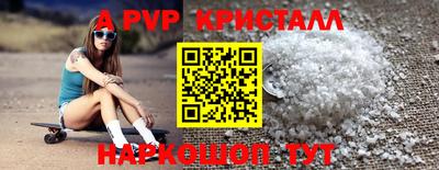 стаф Новокубанск