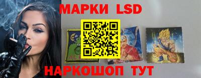 стаф Новокубанск