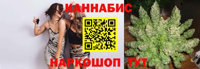 стаф Новокубанск