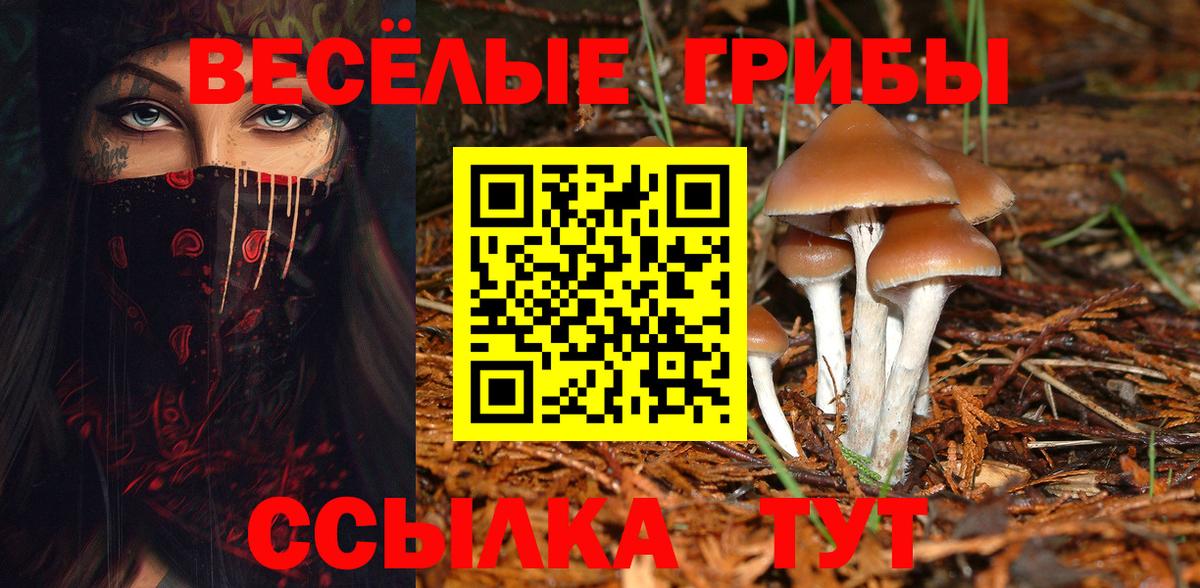 Ухта  Псилоцибиновые грибы Magic Shrooms  Вход с VPN 